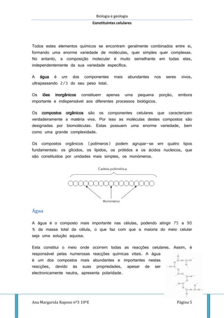 Biologia e geologia
Constituintes celulares
Ana Margarida Raposo nº3 10ºE Página 5
Todos estes elementos químicos se encontram geralmente combinados entre si,
formando uma enorme variedade de moléculas, quer simples quer complexas.
No entanto, a composição molecular é muito semelhante em todas elas,
independentemente da sua variedade específica.
A água é um dos componentes mais abundantes nos seres vivos,
ultrapassando 2/3 do seu peso total.
Os iões inorgânicos constituem apenas uma pequena porção, embora
importante e indispensável aos diferentes processos biológicos.
Os compostos orgânicos são os componentes celulares que caracterizam
verdadeiramente a matéria viva. Por isso as moléculas destes compostos são
designadas por biomoléculas. Estas possuem uma enorme variedade, bem
como uma grande complexidade.
Os compostos orgânicos (polímeros) podem agrupar-se em quatro tipos
fundamentais: os glícidos, os lípidos, os prótidos e os ácidos nucleicos, que
são constituídos por unidades mais simples, os monómeros.
Água
A água é o composto mais importante nas células, podendo atingir 75 a 90
% da massa total da célula, o que faz com que a maioria do meio celular
seja uma solução aquosa.
Esta constitui o meio onde ocorrem todas as reacções celulares. Assim, é
responsável pelas numerosas reacções químicas vitais. A água
é um dos compostos mais abundantes e importantes nestas
reacções, devido às suas propriedades, apesar de ser
electronicamente neutra, apresenta polaridade.
 