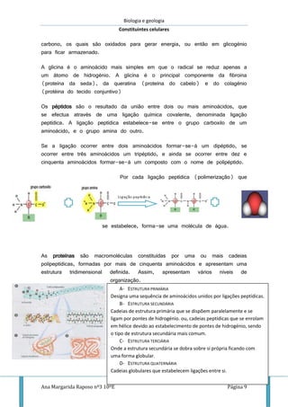 Biologia e geologia
Constituintes celulares
Ana Margarida Raposo nº3 10ºE Página 9
carbono, os quais são oxidados para gerar energia, ou então em glicogénio
para ficar armazenado.
A glicina é o aminoácido mais simples em que o radical se reduz apenas a
um átomo de hidrogénio. A glicina é o principal componente da fibroina
(proteína da seda), da queratina (proteína do cabelo) e do colagénio
(protéina do tecido conjuntivo)
Os péptidos são o resultado da união entre dois ou mais aminoácidos, que
se efectua através de uma ligação química covalente, denominada ligação
peptídica. A ligação peptídica estabelece-se entre o grupo carboxilo de um
aminoácido, e o grupo amina do outro.
Se a ligação ocorrer entre dois aminoácidos formar-se-á um dipéptido, se
ocorrer entre três aminoácidos um tripéptido, e ainda se ocorrer entre dez e
cinquenta aminoácidos formar-se-á um composto com o nome de polipéptido.
Por cada ligação peptídica (polimerização) que
se estabelece, forma-se uma molécula de água.
As proteínas são macromoléculas constituídas por uma ou mais cadeias
polipeptídicas, formadas por mais de cinquenta aminoácidos e apresentam uma
estrutura tridimensional definida. Assim, apresentam vários níveis de
organização.
A- ESTRUTURA PRIMÁRIA
Designa uma sequência de aminoácidos unidos por ligações peptídicas.
B- ESTRUTURA SECUNDÁRIA
Cadeias de estrutura primária que se dispõem paralelamente e se
ligam por pontes de hidrogénio. ou, cadeias peptídicas que se enrolam
em hélice devido ao estabelecimento de pontes de hidrogénio, sendo
o tipo de estrutura secundária mais comum.
C- ESTRUTURA TERCIÁRIA
Onde a estrutura secundária se dobra sobre si própria ficando com
uma forma globular.
D- ESTRUTURA QUATERNÁRIA
Cadeias globulares que estabelecem ligações entre si.
 