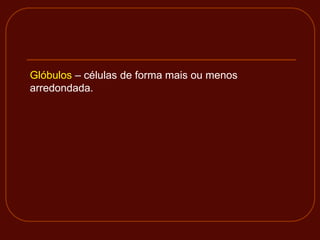 Glóbulos – células de forma mais ou menos
arredondada.
 