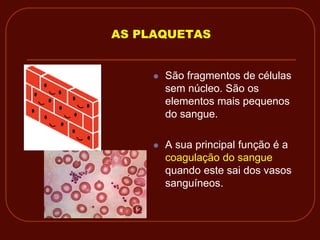 AS PLAQUETAS


        São fragmentos de células
         sem núcleo. São os
         elementos mais pequenos
         do sangue.

        A sua principal função é a
         coagulação do sangue
         quando este sai dos vasos
         sanguíneos.
 