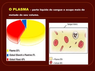 O PLASMA      – parte líquida do sangue e ocupa mais de

metade do seu volume.
 