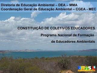 CONSTITUIÇÃO DE COLETIVOS EDUCADORES Programa Nacional de Formação  de Educadores Ambientais Diretoria de Educação Ambiental – DEA – MMA Coordenação Geral de Educação Ambiental – CGEA - MEC 