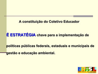 A constituição do Coletivo Educador    É ESTRATÉGIA   chave para a implementação de políticas públicas federais, estaduais e municipais de gestão e educação ambiental. 