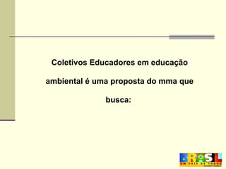 Coletivos Educadores em educação ambiental é uma proposta do mma que busca: 