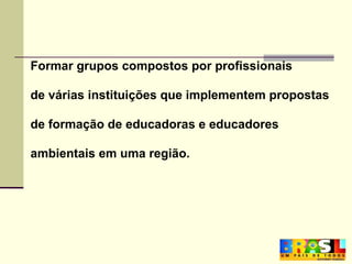 Formar grupos compostos por profissionais de várias instituições que implementem propostas de formação de educadoras e educadores ambientais em uma região. 