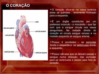 O CORAÇÃO  O coração situa-se na caixa torácica entre os pulmões , levemente inclinado para a esquerda.  É um órgão constituído por um poderoso músculo - o miocárdio - que faz com que o sangue circule nos vasos sanguíneos. Na metade direita do coração só circula sangue venoso e na metade esquerda só sangue arterial. Possui 4 cavidades - as  aurículas  direita e esquerda e  os  ventrículos  direito e esquerdo. Possui válvulas que só deixam passar o sangue numa direcção, das aurículas para os ventrículos e destes para fora do coração. 