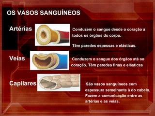 OS VASOS SANGUÍNEOS Artérias  Conduzem o sangue desde o coração a  todos os órgãos do corpo.  Têm paredes espessas e elásticas.  Veias  Conduzem o sangue dos órgãos até ao coração. Têm paredes finas e elásticas  Capilares  São vasos sanguíneos com  espessura semelhante à do cabelo. Fazem a comunicação entre as  artérias e as veias. 