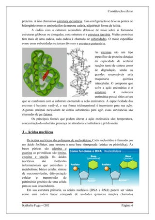 Constituição celular


proteína. A isso chamamos estrutura secundária. Essa configuração se deve as pontes de
hidrogênio entre os aminoácidos da mesma cadeia, adquirindo forma de hélice.
        A cadeia com a estrutura secundária dobra-se de novo sobre si formando
estruturas globosas ou alongadas, essa estrutura é a estrutura terciária. Muitas proteínas
têm mais de uma cadeia, cada cadeia é chamada de subunidades. O modo específico
como essas subunidades se juntam formam a estrutura quaternária.

                                                          As enzimas são um tipo
                                                          específico de proteína dotadas
                                                          da capacidade de acelerar
                                                          reações tanto de síntese como
                                                          de degradação, sendo as
                                                          grandes responsáveis pela
                                                          maquinaria             química
                                                          intracelular. O composto que
                                                          sofre a ação enzimática é o
                                                          substrato.     A      molécula
                                                          enzimática possui sítios ativos
que se combinam com o substrato exercendo a ação enzimática. A especificidade das
enzimas é bastante variável, e sua forma tridimensional é importante para sua ação.
Algumas enzimas necessitam de outras substâncias para agir, essas substâncias são
chamadas de co–fatores.
       Os principais fatores que podem alterar a ação enzimática são: temperatura,
concentração do substrato, presença de ativadores e inibidores e pH do meio.

3 – Ácidos nucléicos

    Os ácidos nucléicos são polímeros de nucleotídeos. Cada nucleotídeo é formado por
um ácido fosfórico, uma pentose e uma base nitrogenada (púrica ou pirimídica). As
bases púricas são adenina e
guanina as pirimídicas são timina,
citosina e uracila. Os ácidos
nucléicos       são      moléculas
informacionais que controlam o
metabolismo básico celular, síntese
de macromoléculas, diferenciação
celular    e     transmissão     do
patrimônio genético de uma célula
para as suas descendentes.
    Em sua estrutura primária, os ácidos nucleicos (DNA e RNA) podem ser vistos
como uma cadeia linear composta de unidades químicas simples chamadas


Nathalia Fuga – CHE                                                             Página 4
 
