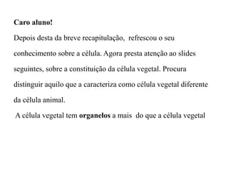 Caro aluno!
Depois desta da breve recapitulação, refrescou o seu
conhecimento sobre a célula. Agora presta atenção ao slides
seguintes, sobre a constituição da célula vegetal. Procura
distinguir aquilo que a caracteriza como célula vegetal diferente
da célula animal.
A célula vegetal tem organelos a mais do que a célula vegetal
 