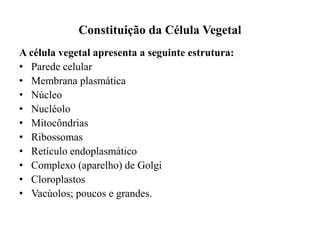 Constituição da Célula Vegetal
A célula vegetal apresenta a seguinte estrutura:
• Parede celular
• Membrana plasmática
• Núcleo
• Nucléolo
• Mitocôndrias
• Ribossomas
• Retículo endoplasmático
• Complexo (aparelho) de Golgi
• Cloroplastos
• Vacúolos; poucos e grandes.