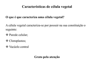 Características de célula vegetal
O que é que caracteriza uma célula vegetal?
A célula vegetal caracteriza-se por possuir na sua constituição o
seguinte:
 Parede celular;
 Cloroplastos;
 Vacúolo central
Grato pela atenção
 