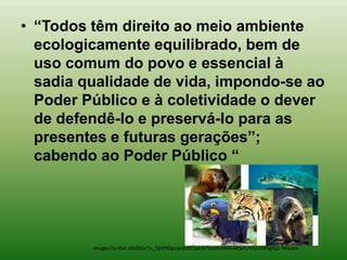 • “Todos têm direito ao meio ambiente
  ecologicamente equilibrado, bem de
  uso comum do povo e essencial à
  sadia qualidade de vida, impondo-se ao
  Poder Público e à coletividade o dever
  de defendê-lo e preservá-lo para as
  presentes e futuras gerações”;
  cabendo ao Poder Público “




         images?q=tbn:ANd9GcTn_QHFK0pzwqtzBCperk7bwdVRWKARSHUh5zODfXgNj2-MwJen
 