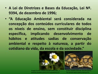 • A Lei de Diretrizes e Bases da Educação, Lei Nº.
  9394, de dezembro de 1996;
• “A Educação Ambiental será considerada na
  concepção dos conteúdos curriculares de todos
  os níveis de ensino, sem constituir disciplina
  específica, implicando desenvolvimento de
  hábitos e atitudes sadias de conservação
  ambiental e respeito à natureza, a partir do
  cotidiano da vida, da escola e da sociedade.”




               images?q=tbn:ANd9GcReQBVDdMUsMy_u-    q=tbn:ANd9GcQif5e8y-l3GnfDc5bX2x-
               bXXo4CokSMBS5qlikSi2YEPmybAk6t4OcUF   VEr5kYZ8T3NZtV284hIcYS6YiwYTH
 
