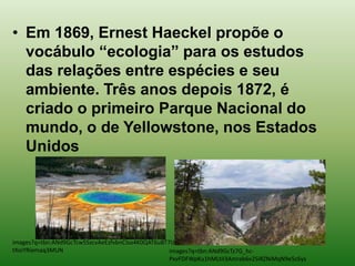 • Em 1869, Ernest Haeckel propõe o
  vocábulo “ecologia” para os estudos
  das relações entre espécies e seu
  ambiente. Três anos depois 1872, é
  criado o primeiro Parque Nacional do
  mundo, o de Yellowstone, nos Estados
  Unidos




images?q=tbn:ANd9GcTcw5SzcvAeEzfvbnCIso4K0QAT6uBT7IJzO
tXoiYRiemaq3MUN                                   images?q=tbn:ANd9GcTz7G_hc-
                                                  PxvFDFWpKu1hMLtiI3Amrab6v2SiRZNiMqN9e5c6ys
 