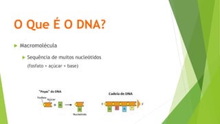 O Que É O DNA?
 Macromolécula
 Sequência de muitos nucleótidos
(fosfato + açúcar + base)
 