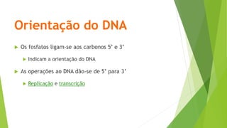 Orientação do DNA
 Os fosfatos ligam-se aos carbonos 5’ e 3’
 Indicam a orientação do DNA
 As operações ao DNA dão-se de 5’ para 3’
 Replicação e transcrição
 