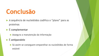 Conclusão
 A sequência de nucleótidos codifica o “plano” para as
proteínas
 É complementar
 Assegura a manutenção da informação
 É antiparalelo
 Só assim se conseguem emparelhar os nucleótidos de forma
estável
 