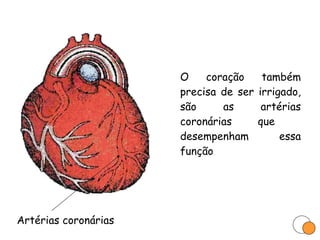 O coração também precisa de ser irrigado, são as artérias coronárias que  desempenham essa função Artérias coronárias 