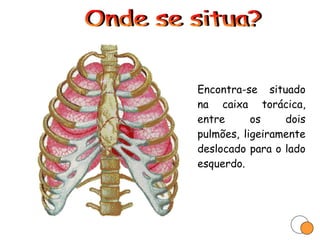 Encontra-se situado na caixa torácica, entre os dois pulmões, ligeiramente deslocado para o lado esquerdo. Onde se situa? 