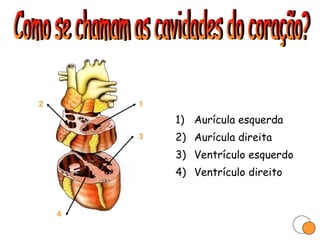 Aurícula esquerda Aurícula direita Ventrículo esquerdo Ventrículo direito Como se chamam as cavidades do coração? 1 2 3 4 
