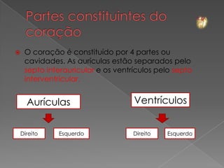     O coração é constituído por 4 partes ou
     cavidades. As aurículas estão separados pelo
     septo interauricular e os ventrículos pelo septo
     interventricular.


      Aurículas                     Ventrículos


    Direito   Esquerdo              Direito   Esquerdo
 