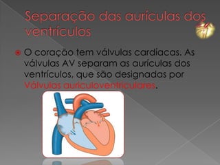    O coração tem válvulas cardíacas. As
    válvulas AV separam as aurículas dos
    ventrículos, que são designadas por
    Válvulas auriculoventriculares.
 
