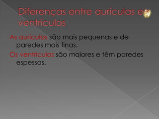As aurículas são mais pequenas e de
  paredes mais finas.
Os ventrículos são maiores e têm paredes
  espessas.
 
