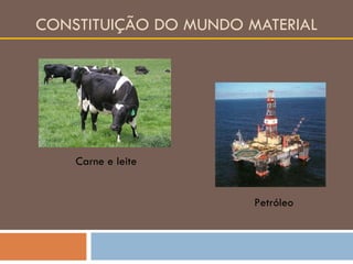 CONSTITUIÇÃO DO MUNDO MATERIAL Carne e leite Petróleo 