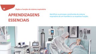 Identificar os principais constituintes do sistema
respiratório de um mamífero e as respetivas funções.
APRENDIZAGENS
ESSENCIAIS
Órgãos e funções do sistema respiratório
 