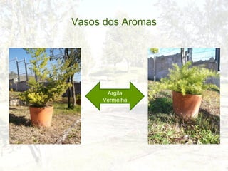 Vasos dos Aromas




      Argila
     Vermelha
 