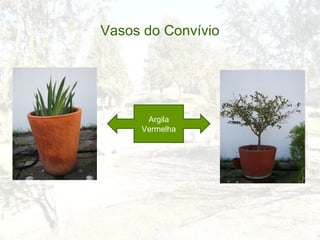 Vasos do Convívio




      Argila
     Vermelha
 