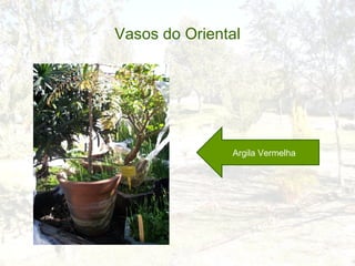 Vasos do Oriental




               Argila Vermelha
 