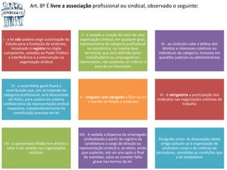 Art. 8º É livre a associação profissional ou sindical, observado o seguinte: 
I - a lei não poderá exigir autorização do 
Estado para a fundação de sindicato, 
ressalvado o registro no órgão 
competente, vedadas ao Poder Público 
a interferência e a intervenção na 
organização sindical 
II - é vedada a criação de mais de uma 
organização sindical, em qualquer grau, 
representativa de categoria profissional 
ou econômica, na mesma base 
territorial, que será definida pelos 
trabalhadores ou empregadores 
interessados, não podendo ser inferior à 
área de um Município 
III - ao sindicato cabe a defesa dos 
direitos e interesses coletivos ou 
individuais da categoria, inclusive em 
questões judiciais ou administrativas 
IV - a assembléia geral fixará a 
contribuição que, em se tratando de 
categoria profissional, será descontada 
em folha, para custeio do sistema 
confederativo da representação sindical 
respectiva, independentemente da 
contribuição prevista em lei 
V - ninguém será obrigado a filiar-se ou 
a manter-se filiado a sindicato 
VI - é obrigatória a participação dos 
sindicatos nas negociações coletivas de 
trabalho 
VII - o aposentado filiado tem direito a 
votar e ser votado nas organizações 
sindicais 
VIII - é vedada a dispensa do empregado 
sindicalizado a partir do registro da 
candidatura a cargo de direção ou 
representação sindical e, se eleito, ainda 
que suplente, até um ano após o final 
do mandato, salvo se cometer falta 
grave nos termos da lei. 
Parágrafo único. As disposições deste 
artigo aplicam-se à organização de 
sindicatos rurais e de colônias de 
pescadores, atendidas as condições que 
a lei estabelecer 
 