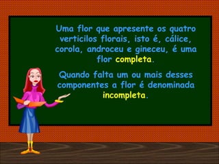 Uma flor que apresente os quatro verticilos florais, isto é, cálice, corola, androceu e gineceu, é uma flor  completa . Quando falta um ou mais desses componentes a flor é denominada  incompleta . 