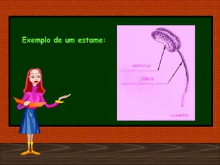 Exemplo de um estame: 