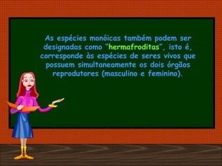 As espécies monóicas também podem ser designadas como “ hermafroditas ”, isto é, corresponde às espécies de seres vivos que possuem simultaneamente os dois órgãos reprodutores (masculino e feminino). 