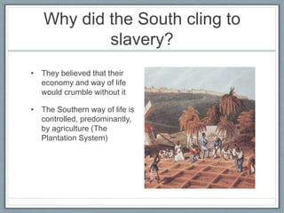 Why did the South cling to
slavery?
• They believed that their
economy and way of life
would crumble without it
• The Southern way of life is
controlled, predominantly,
by agriculture (The
Plantation System)
 