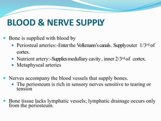 BLOOD & NERVE SUPPLY
 Bone is supplied with blood by
 Periosteal arteries:-Enterthe Volkmann’scanals. Supplyouter 1/3rd of
cortex.
 Nutrient artery:-Suppliesmedullary cavity, inner 2/3rdof cortex.
 Metaphyseal arteries
 Nerves accompany the blood vessels that supply bones.
 The periosteum is rich in sensory nerves sensitive to tearing or
tension
 Bone tissue lacks lymphatic vessels; lymphatic drainage occurs only
from the periosteum.
 