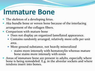 Immature Bone
 The skeleton of a developing fetus.
 Aka bundle bone or woven bone because of the interlacing
arrangement of the collagen fibers.
 Comparison with mature bone
 Does not display an organized lamellated appearance.
 Contains randomly arranged, relatively more cells per unit
area.
 More ground substance, not heavily mineralized
 stains more intensely with hematoxylin whereas mature
bone stains more intensely with eosin
 Areas of immature bone are present in adults, especially where
bone is being remodeled. E.g. in the alveolar sockets and where
tendons insert into bones.
 
