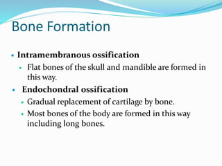Bone Formation
 Intramembranous ossification
 Flat bones of the skull and mandible are formed in
this way.
 Endochondral ossification
 Gradual replacement of cartilage by bone.
 Most bones of the body are formed in this way
including long bones.
 