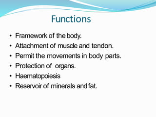 Functions
• Framework of thebody.
• Attachment of muscle and tendon.
• Permit the movements in body parts.
• Protection of organs.
• Haematopoiesis
• Reservoir of minerals andfat.
 