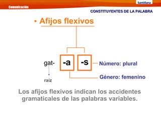 Los afijos flexivos indican los accidentes
gramaticales de las palabras variables.
gat- -a Número: plural
Género: femenino
raíz
-s
CONSTITUYENTES DE LA PALABRACONSTITUYENTES DE LA PALABRA

Afijos flexivos
 