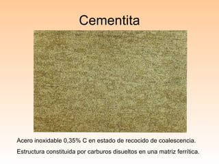 Cementita Acero inoxidable 0,35% C en estado de recocido de coalescencia. Estructura constituida por carburos disueltos en una matriz ferrítica. 