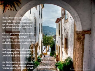 BusqueAmornovasartes,novoengenho,
paramatar-me,e novasesquivanças;
quenãopodetirar-measesperanças,
quemalmetiraráo que eunãotenho.
Olhaide queesperançasmemantenho!
vedequeperigosasseguranças:
quenãotemocontrastesnemmudanças,
andandoembravomarperdidoo lenho
Mas, conquantonãopodehaverdesgosto
ondeesperançafalta,lá meesconde
Amorummal,quematae não se vê;
quediasháquena almametemposto
umnãoseiquê,que nascenãosei onde,
vemnãoseicomoe dói nãoseiporquê. Fotografia: José Morais Sarmento
 