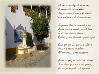 Fotografia: Nuno Timóteo
Oh como se me alonga de ano em ano
A peregrinação cansada minha!
Como se encurta, e como ao fim caminha
Este meu breve e vão discurso humano!
Minguando a idade vai, crescendo o dano;
Perdeu-se-me um remédio, que inda tinha;
Se por experiência se adivinha,
Qualquer grande esperança é grande engano.
Corro após este bem que não se alcança;
No meio do caminho me falece;
Mil vezes caio, e perco a confiança.
Quando ele foge, eu tardo; e na tardança,
Se os olhos ergo a ver se inda aparece,
De vista se me perde, e da esperança.
 