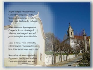 Alegres campos, verdes arvoredos,
Claras e frescas águas de cristal,
Que em vós os debuxais ao natural,
Discorrendo da altura dos rochedos;
Silvestres montes, ásperos penedos
Compostos de concerto desigual;
Sabei que, sem licença de meu mal,
Já não podeis fazer meus olhos ledos.
E pois já me não vedes como vistes,
Não me alegrem verduras deleitosas,
Nem águas que correndo alegres vêm.
Semearei em vós lembranças tristes,
Regar-vos-ei com lágrimas saudosas,
E nascerão saudades de meu bem.
Fotografia: Vítor Oliveira
 