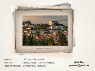 Fotografia: Dias dos Reis
Guida Burt
guidaburt@gmail.com
 