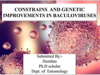 CONSTRAINS AND GENETIC
IMPROVEMENTS IN BACULOVIRUSES
Submitted By:-
Hemlata
Ph.D scholar
Dept. of Entomology
 