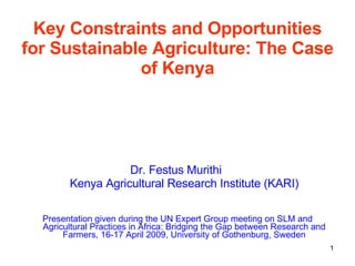 Key Constraints and Opportunities for Sustainable Agriculture: The Case of Kenya ,[object Object],[object Object],[object Object]