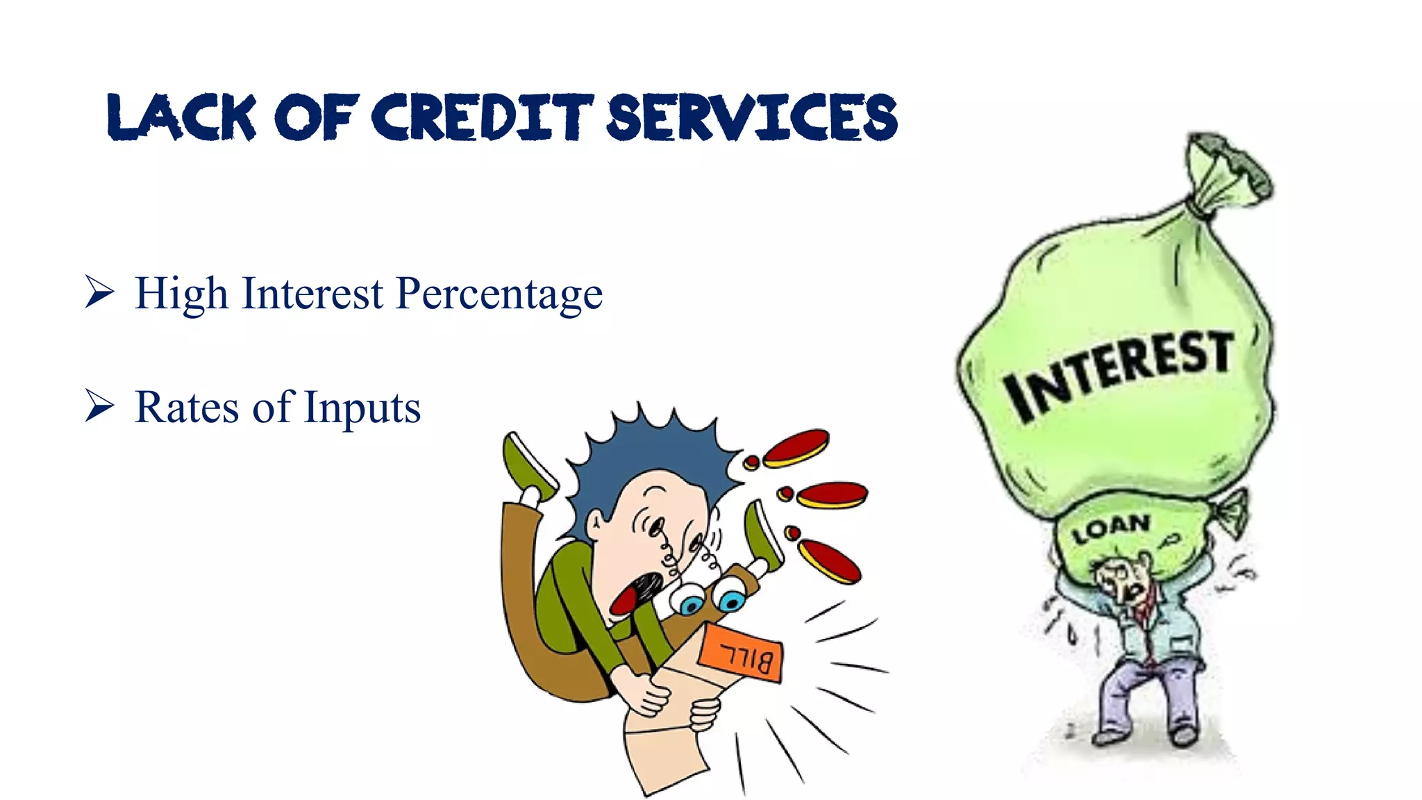 Lack of credit services
➢ High Interest Percentage
➢ Rates of Inputs